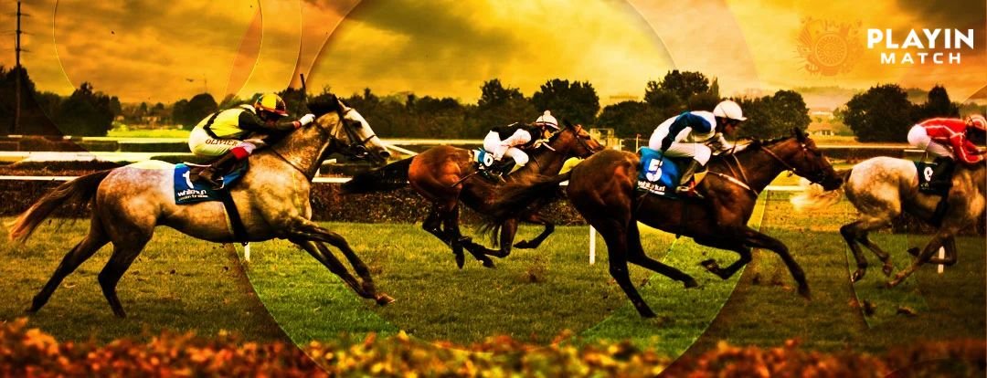 fun in exchange 247 nonstop betting service